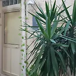 Calafatari